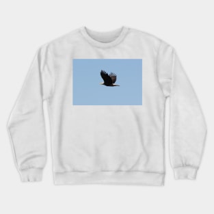 Bald Eagle in Flight Crewneck Sweatshirt